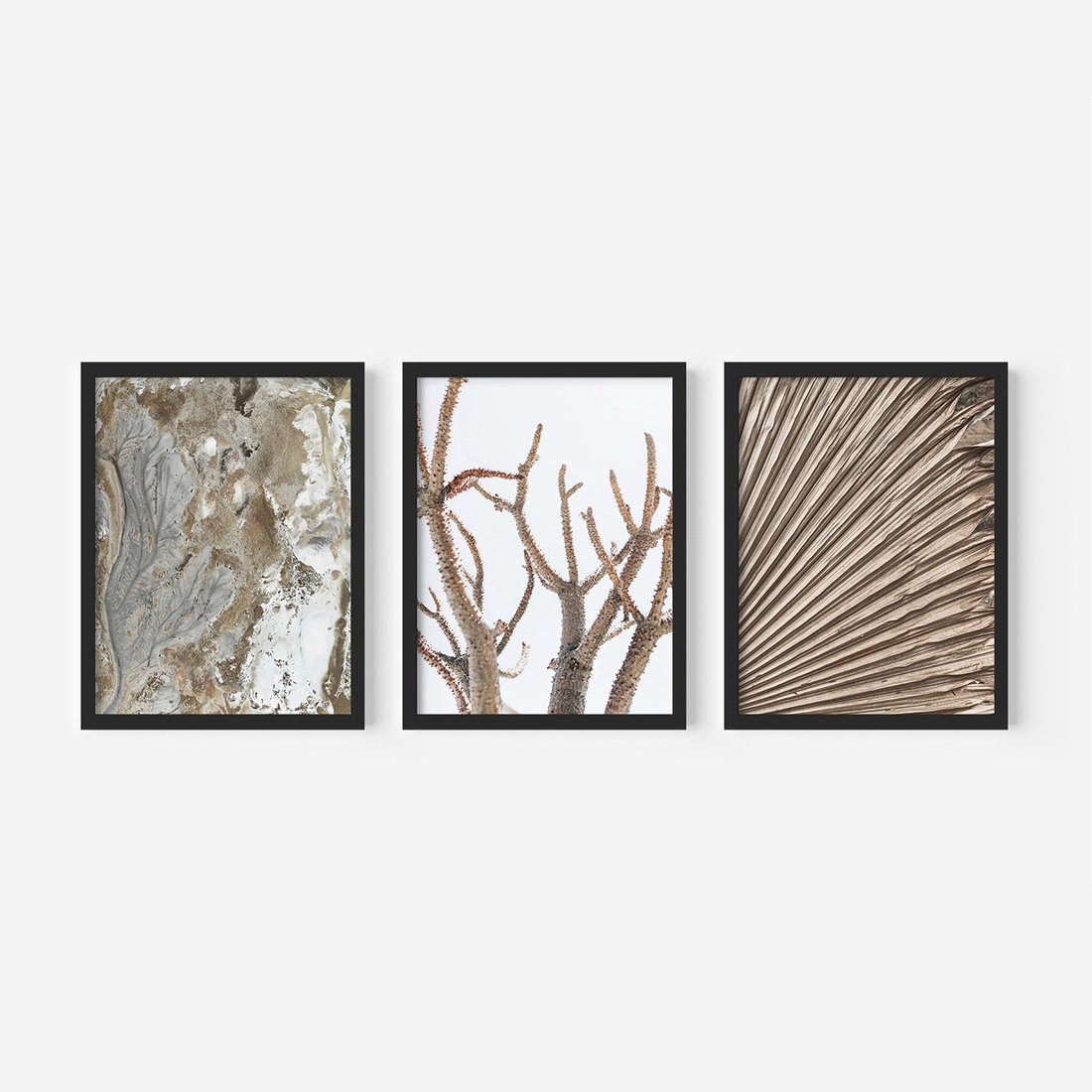 Zestaw obrazy w ramie, plakaty - abstrakcja, roślina, natura - rama czarna