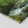 Obraz na płótnie - las, potok, woda