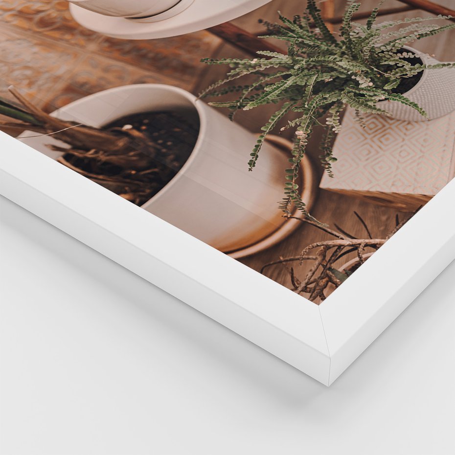 Zestaw obrazy w ramie, plakaty - rośliny, doniczki, wnętrze - rama biała