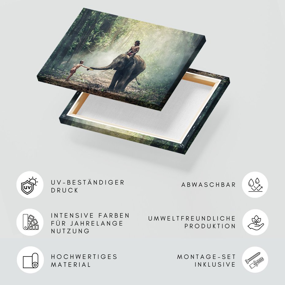 Obraz na płótnie - słoń, chłopiec, las