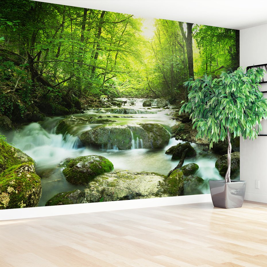 Fototapeta - las, rzeka, wodospad