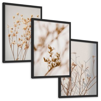 Zestaw obrazy w ramie, plakaty - kwiaty,rośliny,suszone, - rama czarna