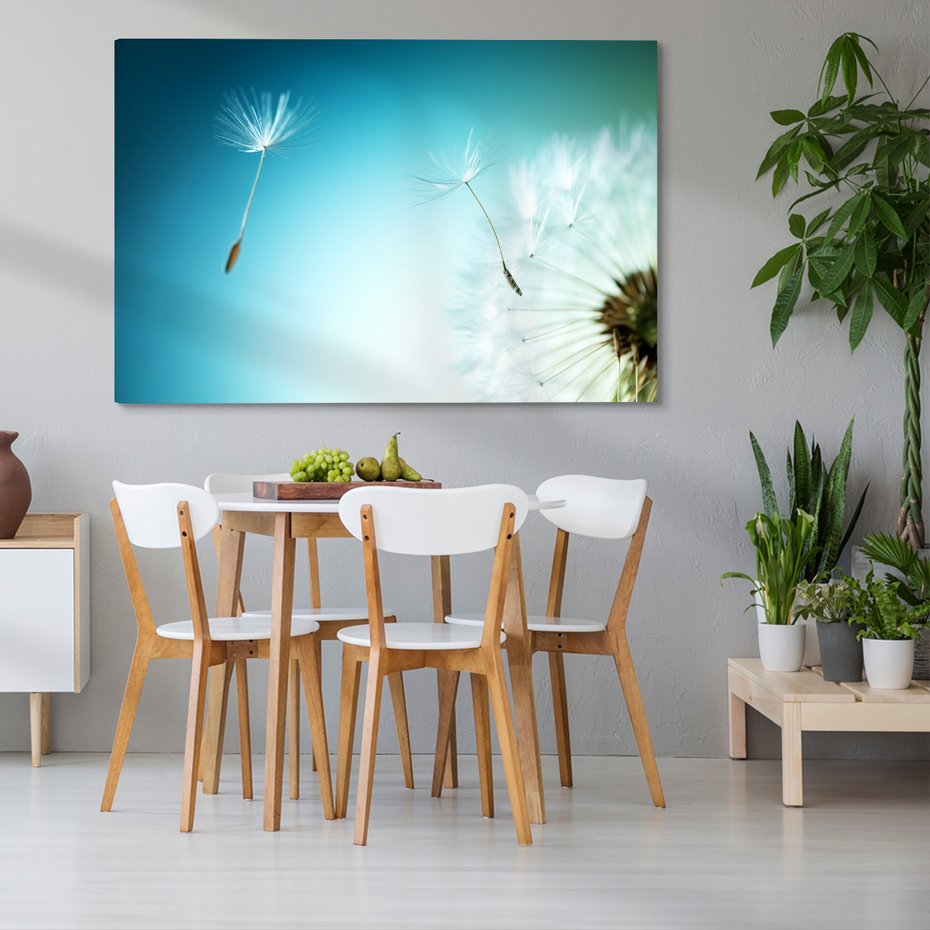 Obraz na płótnie - dmuchawiec, nasiona, natura