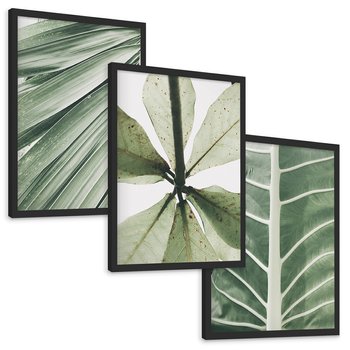 Zestaw obrazy w ramie, plakaty - liście, tropikalne, zielone - rama czarna