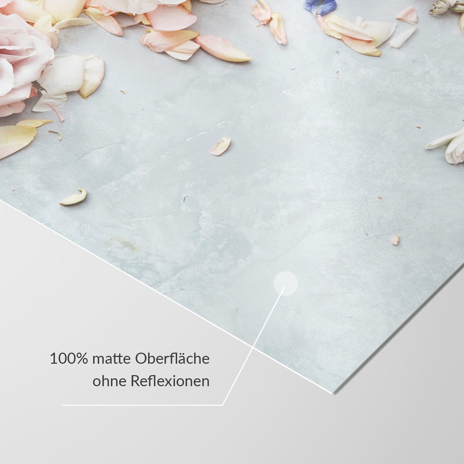 Fototapeta - kwiaty, płatki, róże