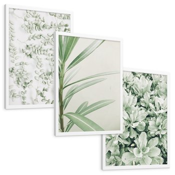 Zestaw obrazy w ramie, plakaty - liście, roślina, gałązka - rama biała