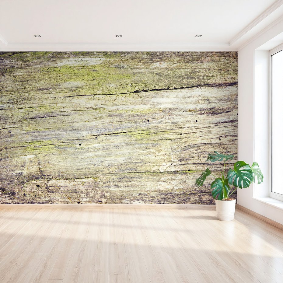 Fototapeta - drewno, kora, tekstura