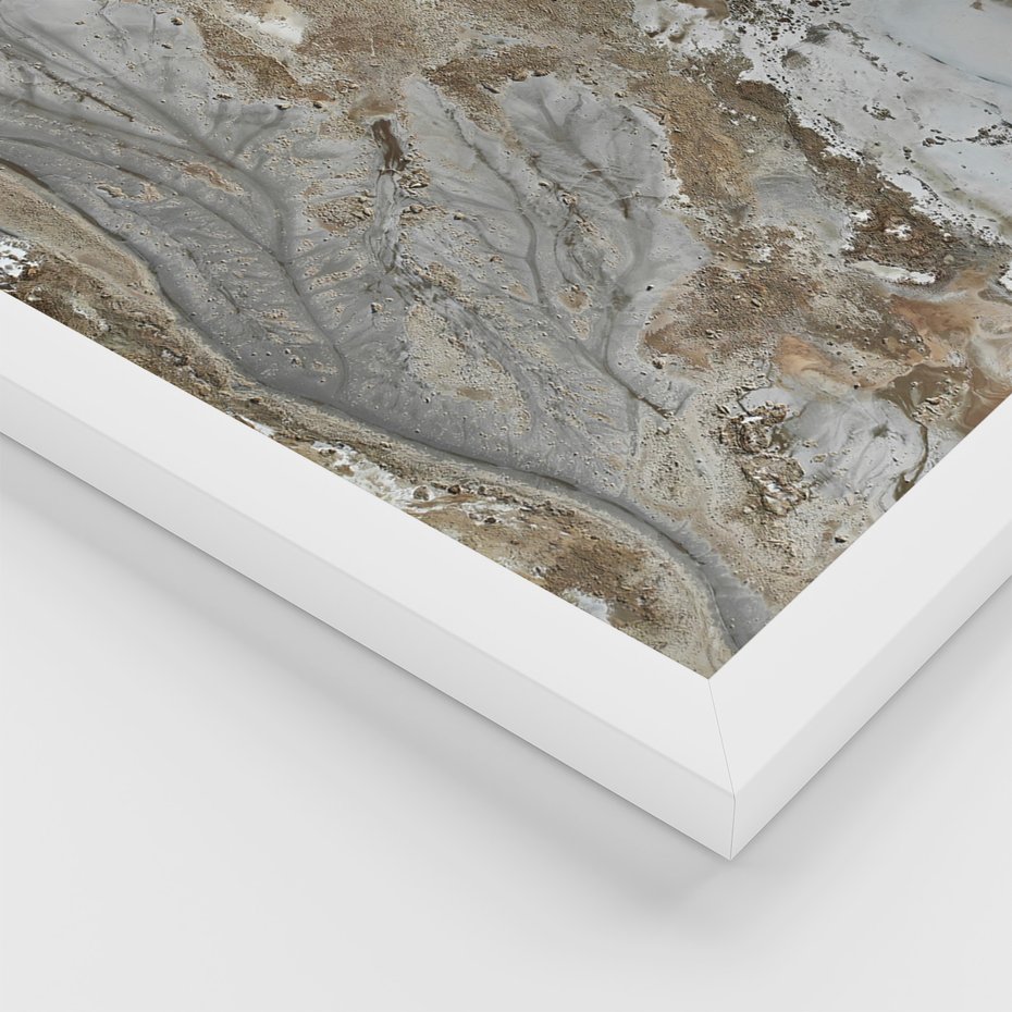 Zestaw obrazy w ramie, plakaty - abstrakcja, roślina, natura - rama biała