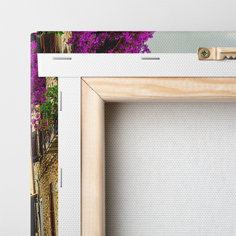 Obraz na płótnie - uliczka, kwiaty, budynki