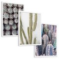 Zestaw obrazy w ramie, plakaty - kaktusy, rośliny, kolce - rama biała