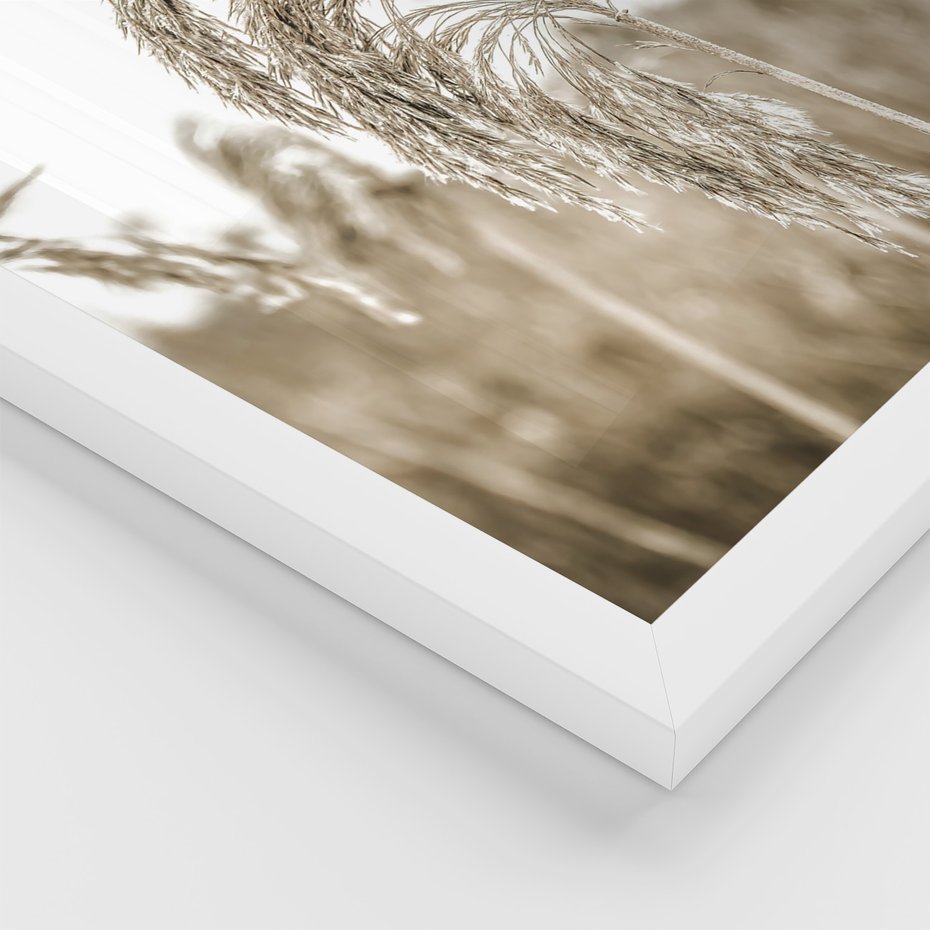 Zestaw obrazy w ramie, plakaty - natura, drewno, wieś - rama biała