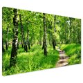 Obraz na płótnie - las, ścieżka, natura