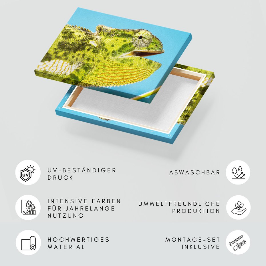 Obraz na płótnie - kameleon, jaszczurka, gad