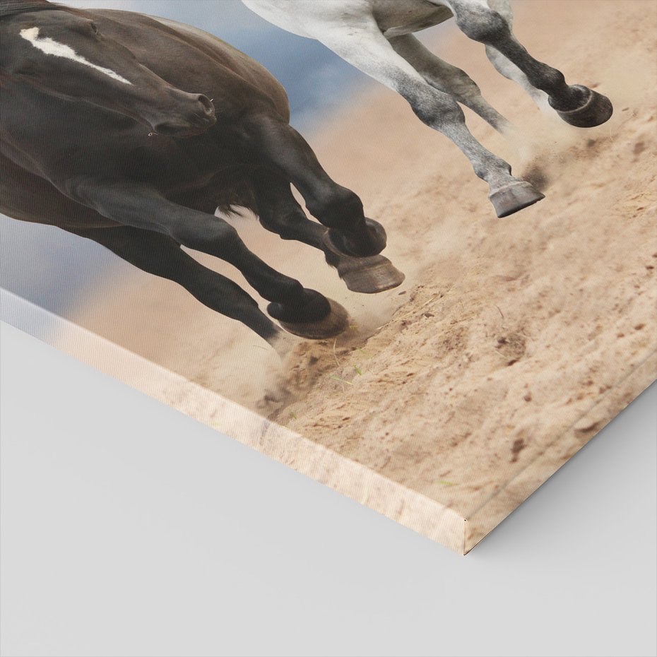 Obraz na płótnie - konie, galop, krajobraz