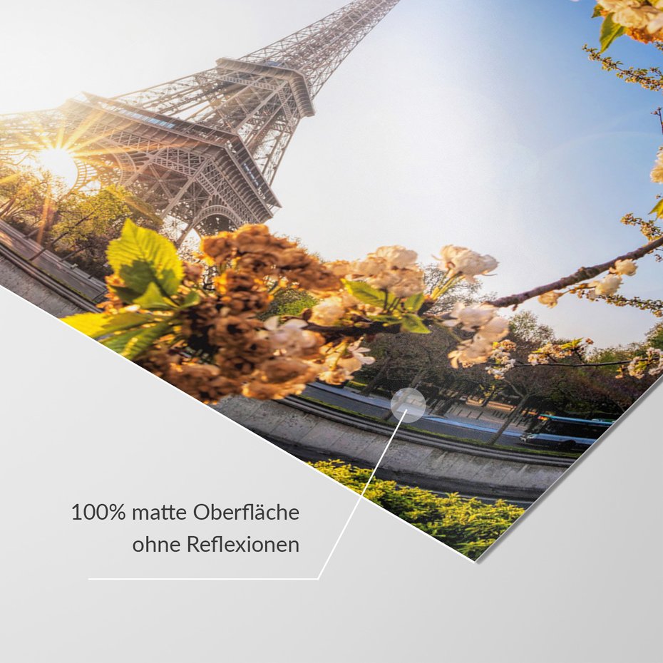 Fototapeta - Paryż, Wieża Eiffla, kwiaty