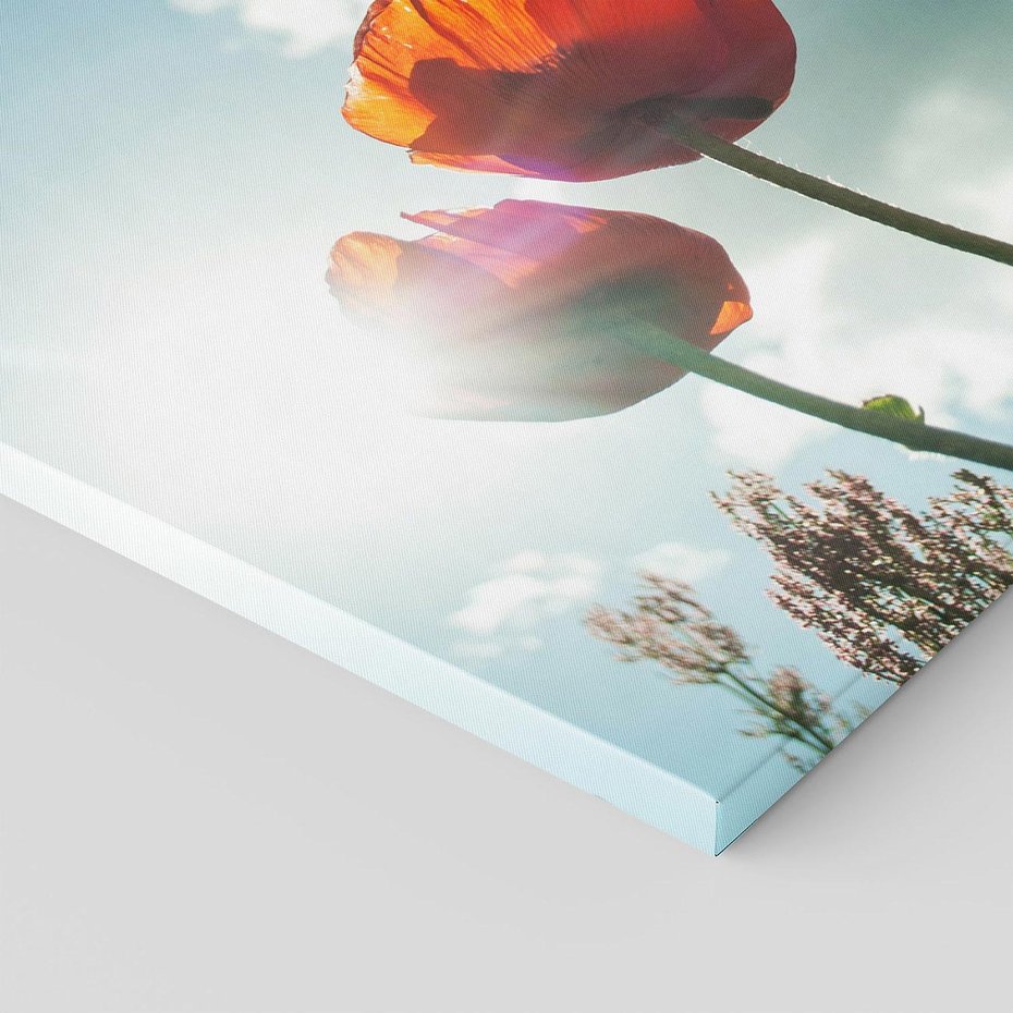 Obraz na płótnie - maki, kwiaty, niebo