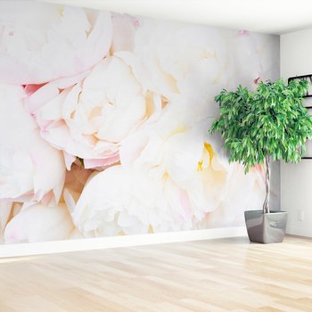 Fototapeta - kwiaty, białe, płatki