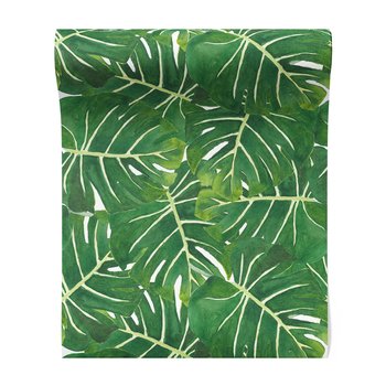 Tapeta - liście, monstera, natura