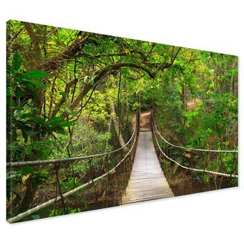 Obraz na płótnie - las, most, natura