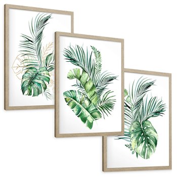 Zestaw obrazy w ramie, plakaty - liście, rośliny, tropikalne - rama drewno