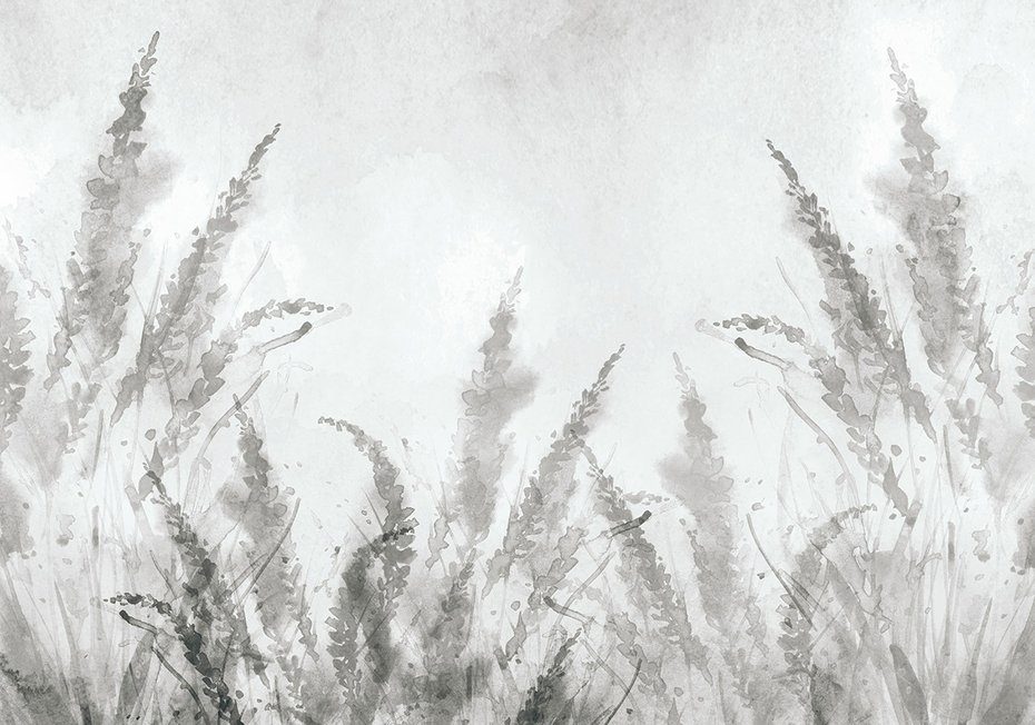 Fototapeta - loft, trawy, pampas