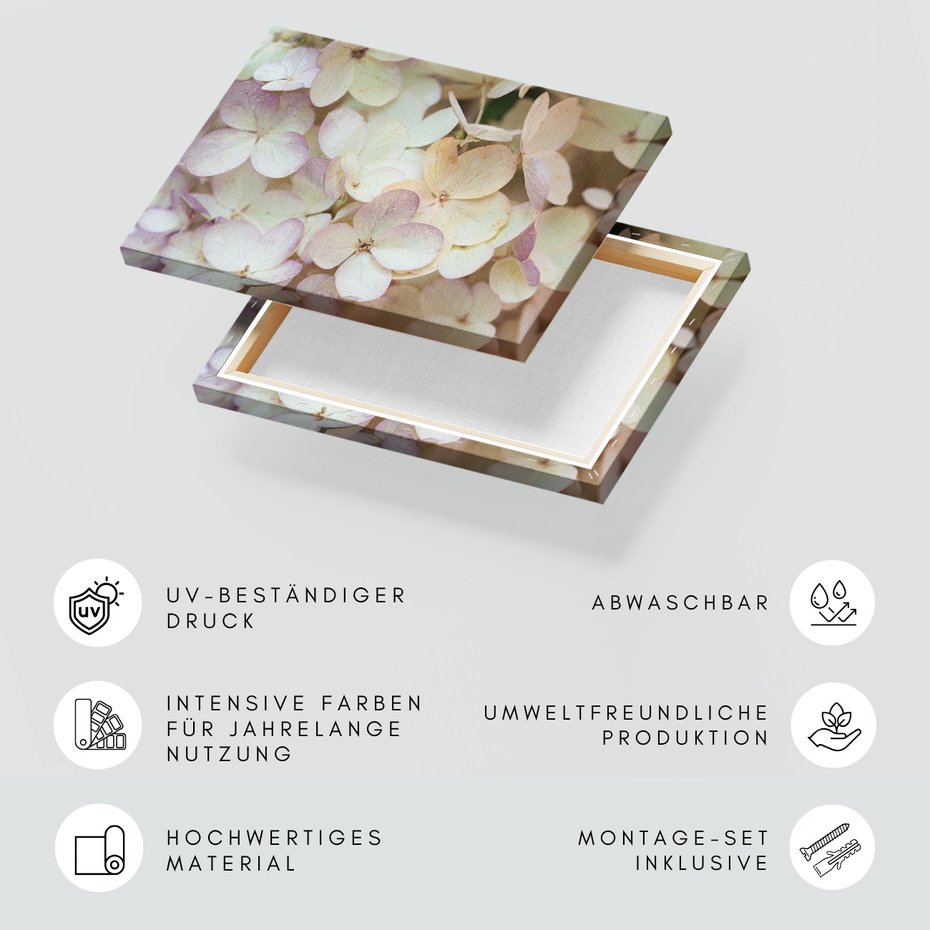 Obraz na płótnie - kwiaty, hortensja, płatki