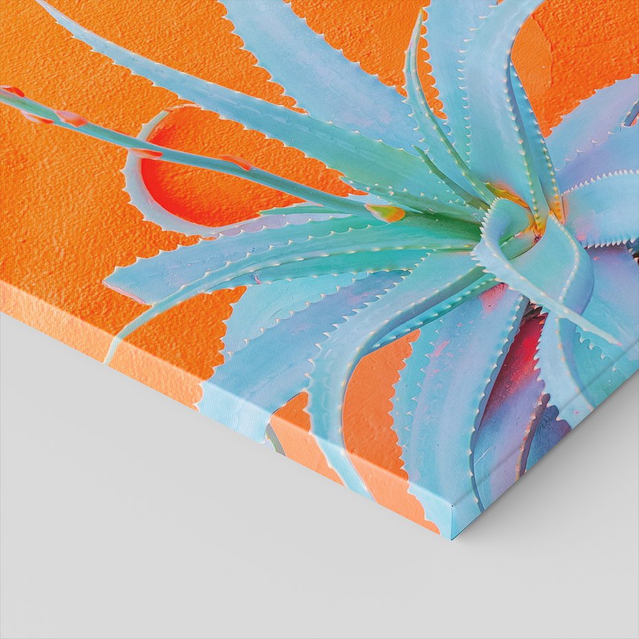 Obraz na płótnie - aloe, roślina, pomarańczowy