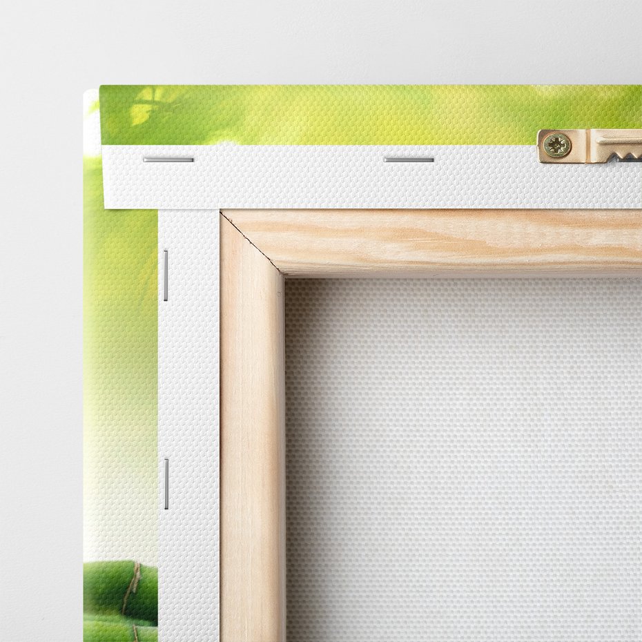 Obraz na płótnie - bambus, woda, kamienie