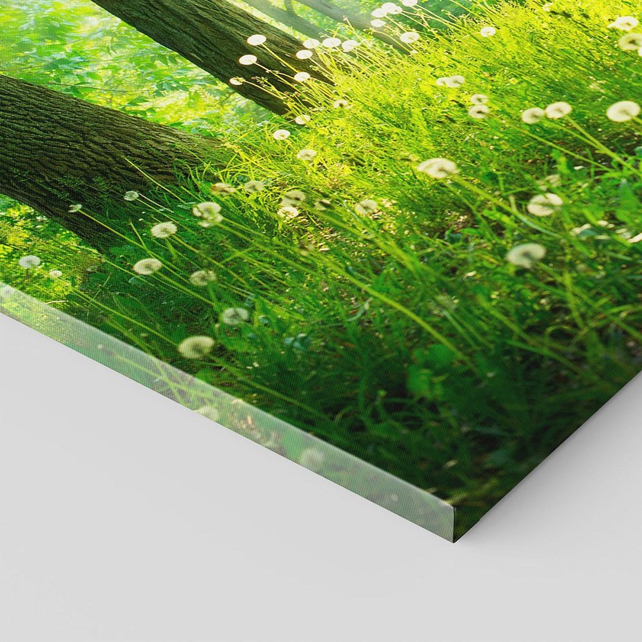 Obraz na płótnie - las, drzewa, natura