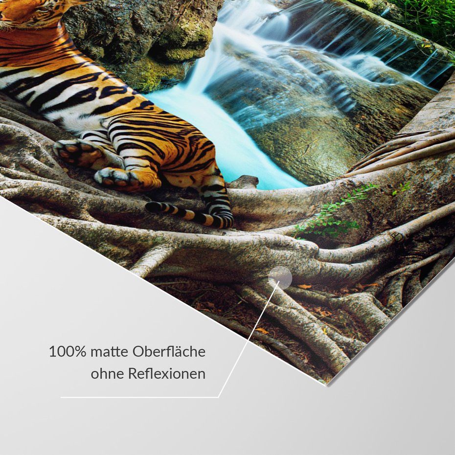 Fototapeta - tygrys, wodospad, natura