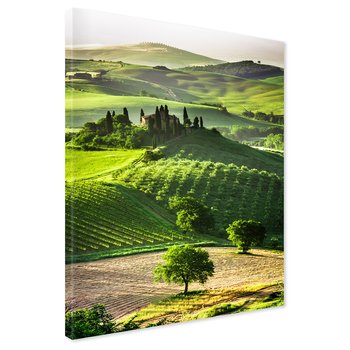 Obraz na płótnie - Tuscany, krajobraz, wzgórza