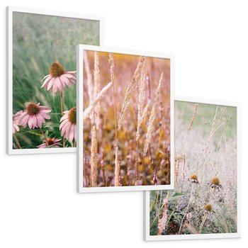 Zestaw obrazy w ramie, plakaty - kwiaty, trawa, rośliny - rama biała