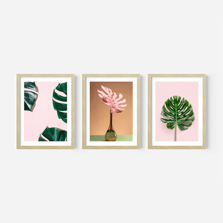 Zestaw obrazy w ramie, plakaty - monstera, liście, roślina - rama drewno