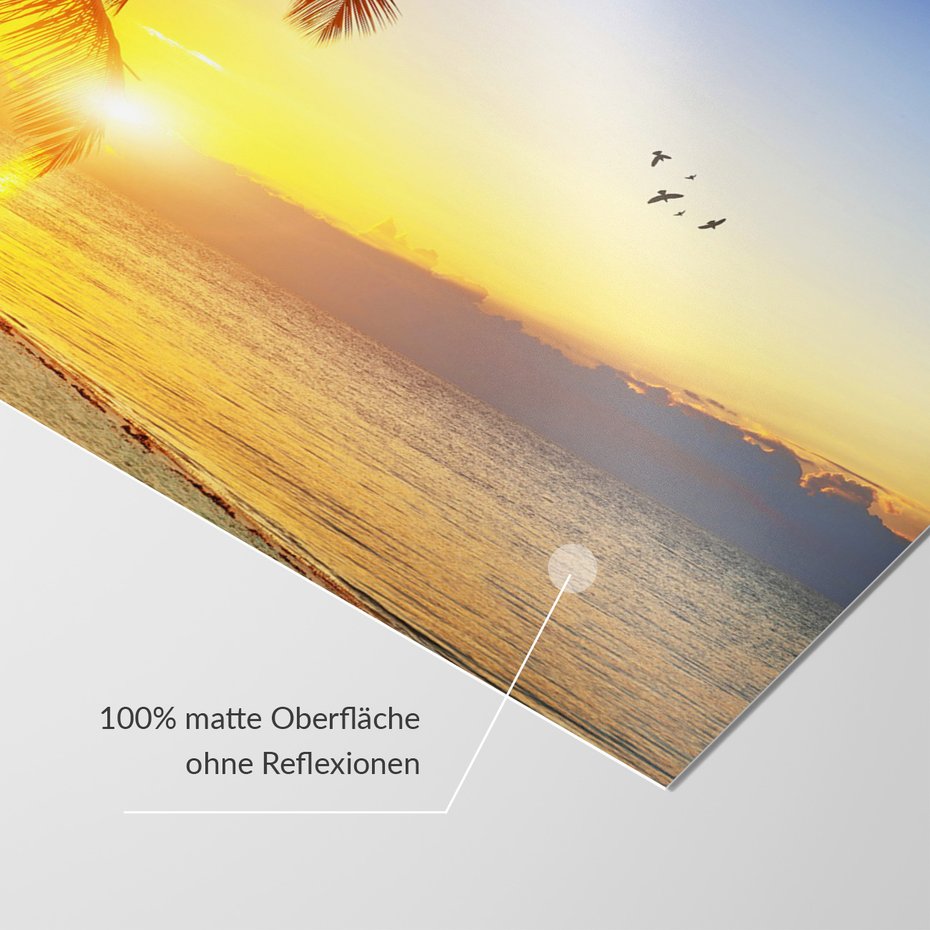 Fototapeta - palma, morze, zachód słońca