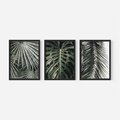 Zestaw obrazy w ramie, plakaty - liście, palmy, tropikalne - rama czarna
