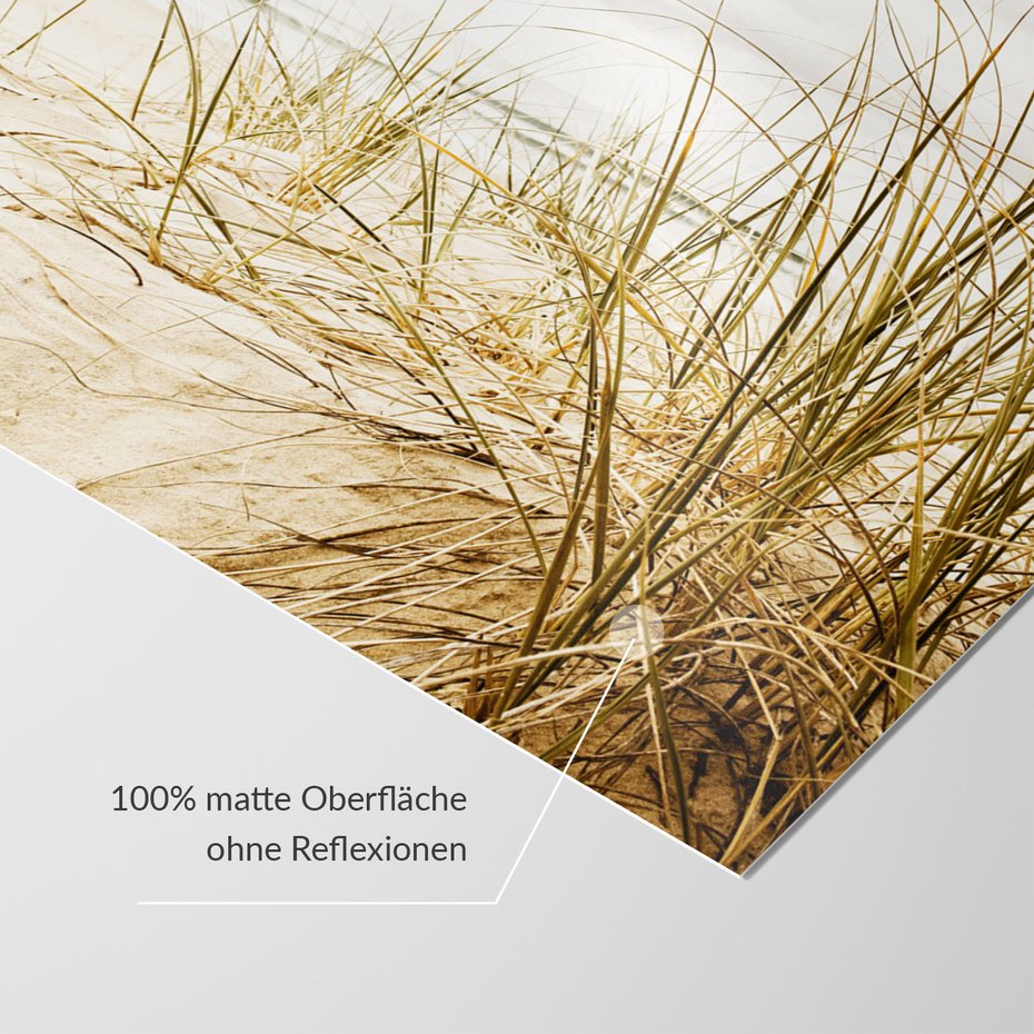 Fototapeta - plaża, piasek, trawa