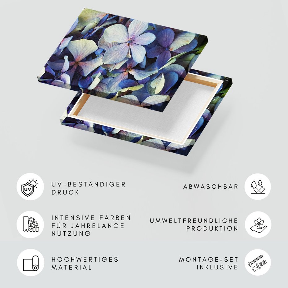 Obraz na płótnie - kwiaty, hortensje, płatki