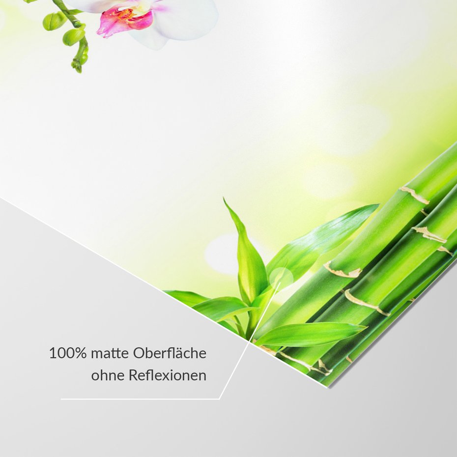 Fototapeta - bambus, orchidee, kwiaty