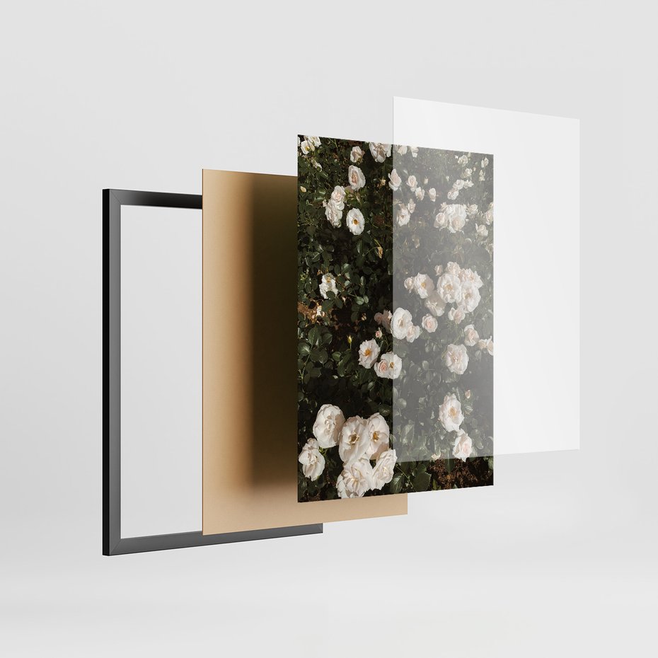 Zestaw obrazy w ramie, plakaty - kwiaty, rośliny, natura - rama czarna