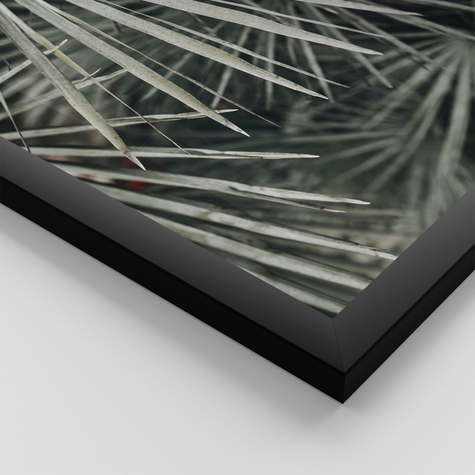 Zestaw obrazy w ramie, plakaty - liście, palmy, tropikalne - rama czarna