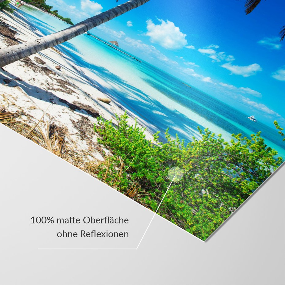 Fototapeta - plaża, palmy, morze