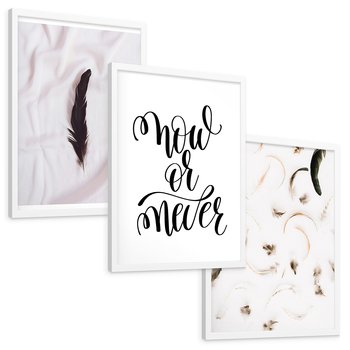 Zestaw obrazy w ramie, plakaty - pióro, minimalizm, tło - rama biała