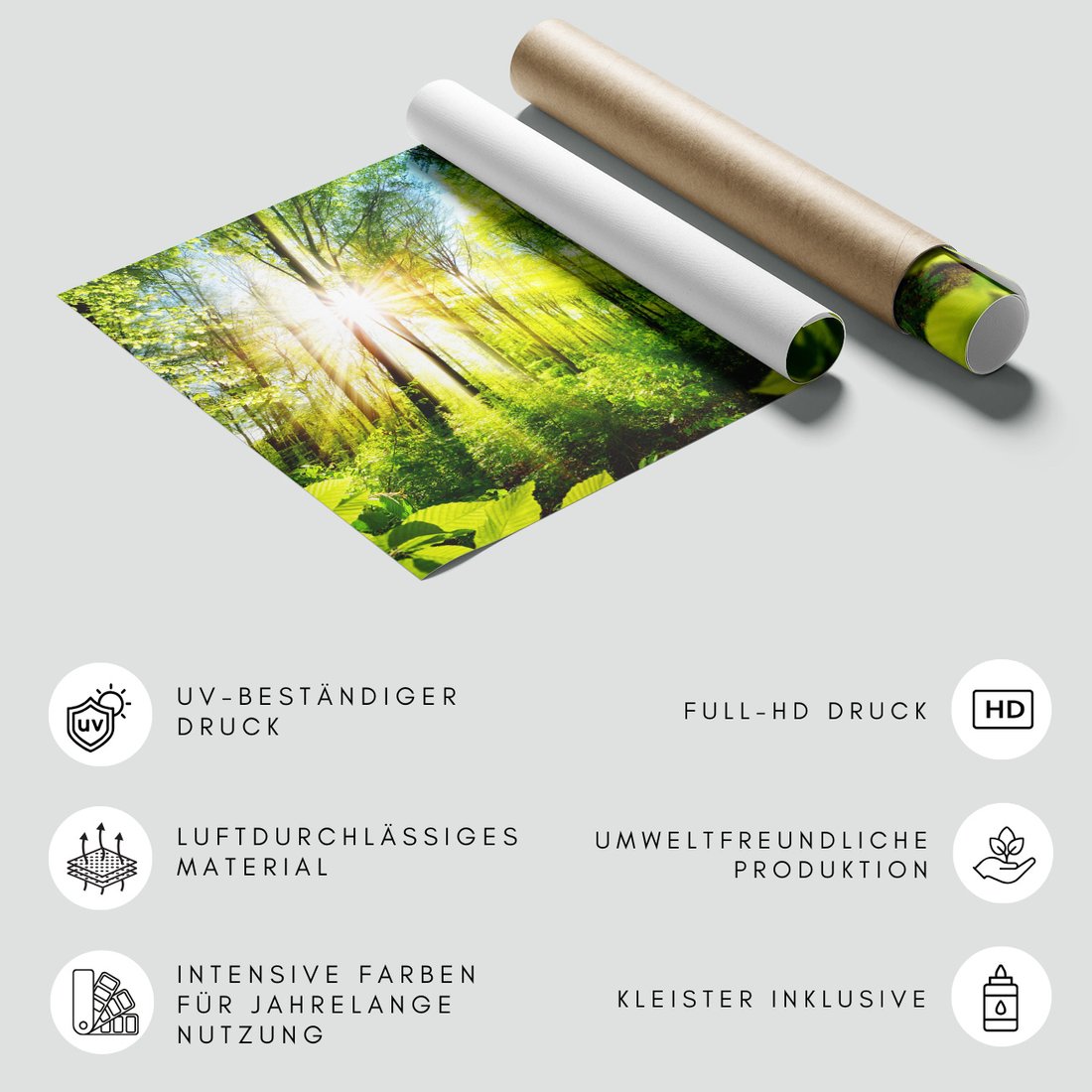 Fototapeta - las, słońce, drzewa