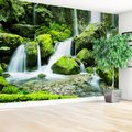 Fototapeta - wodospad, mech, natura
