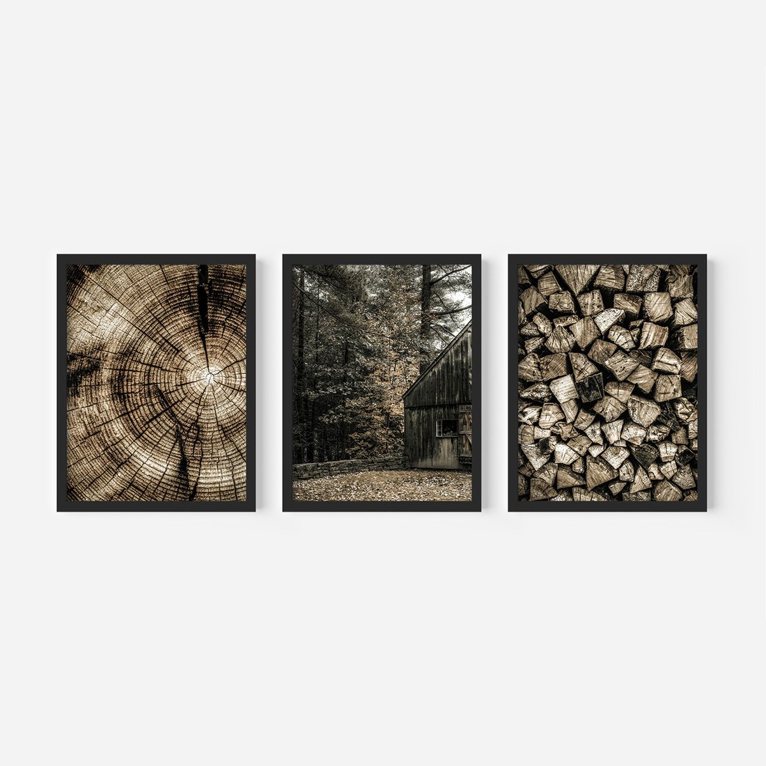 Zestaw obrazy w ramie, plakaty - drewno, kora, natura - rama czarna
