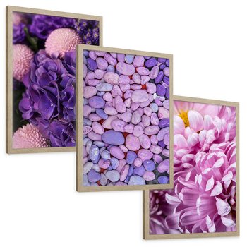 Zestaw obrazy w ramie, plakaty - kwiaty, kamienie, fioletowy - rama drewno