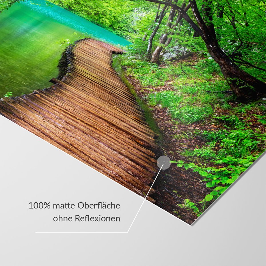 Fototapeta - las, woda, ścieżka