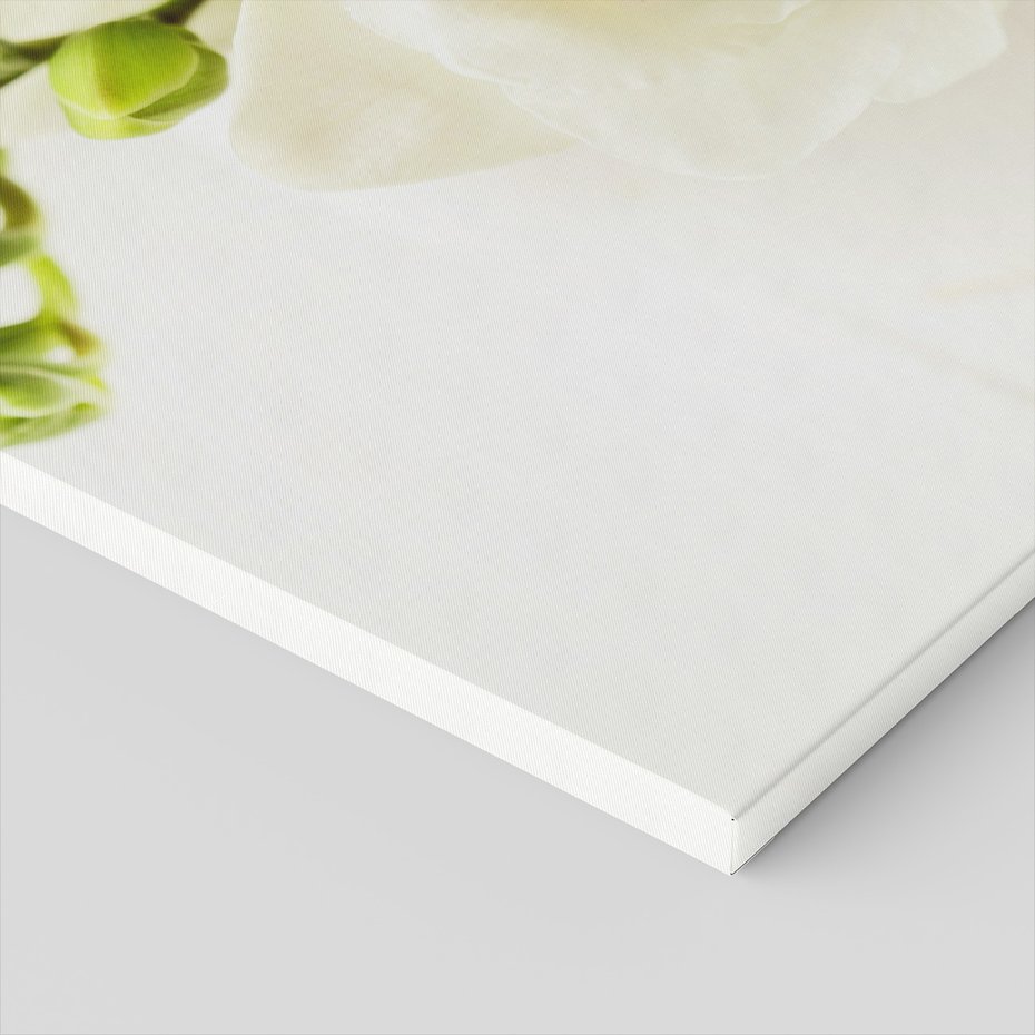 Obraz na płótnie - kwiaty, frezje, białe