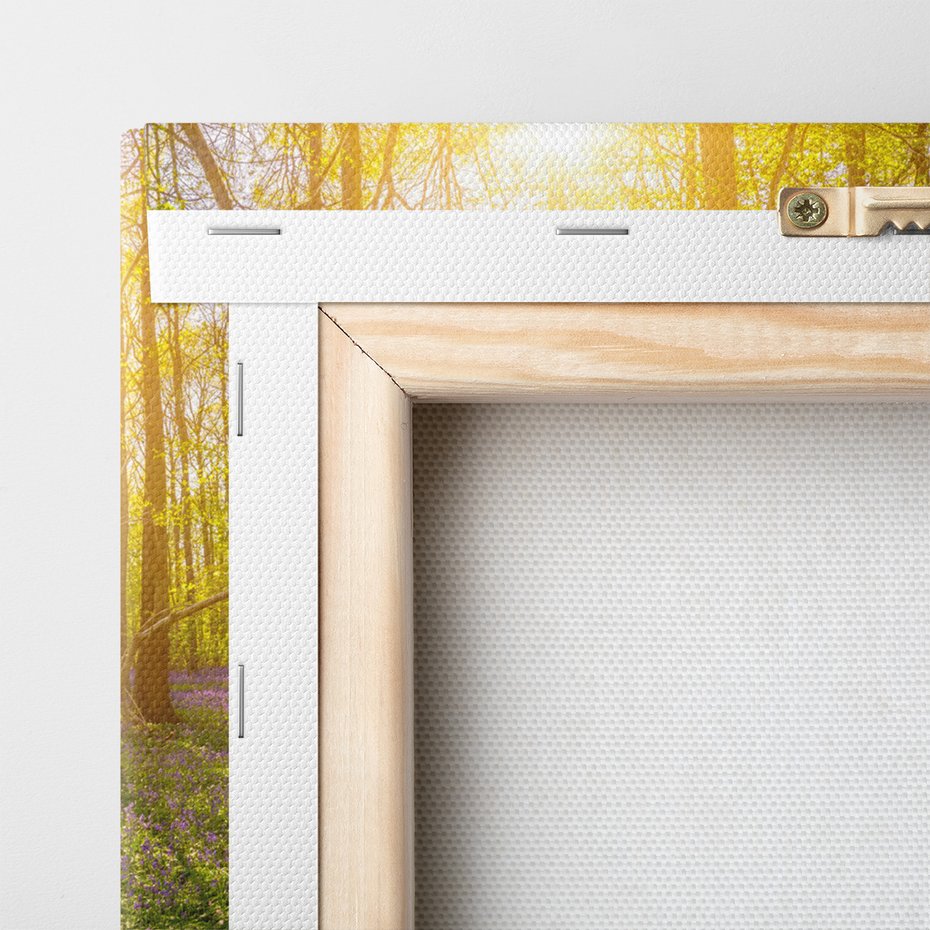 Obraz na płótnie - las, kwiaty, słońce