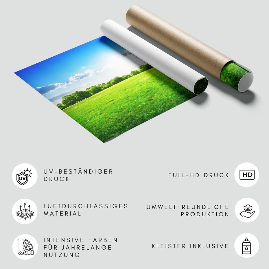 Fototapeta - krajobraz, łąka, drzewa